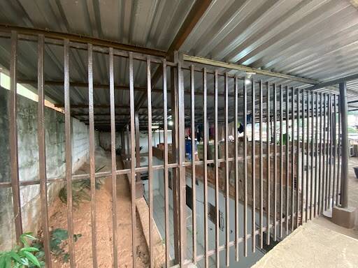 Casa à venda com 3 quartos, 720m² - Foto 23