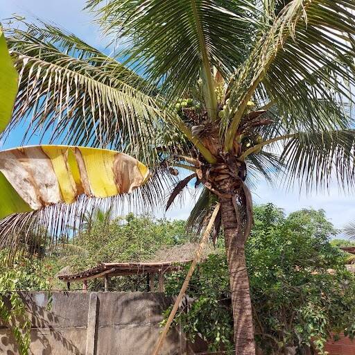 Casa, 5 quartos, 450 m² - Foto 2