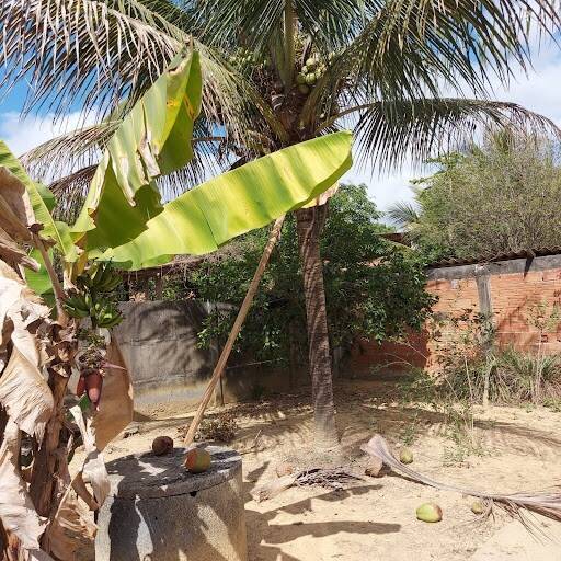 Casa, 5 quartos, 450 m² - Foto 11