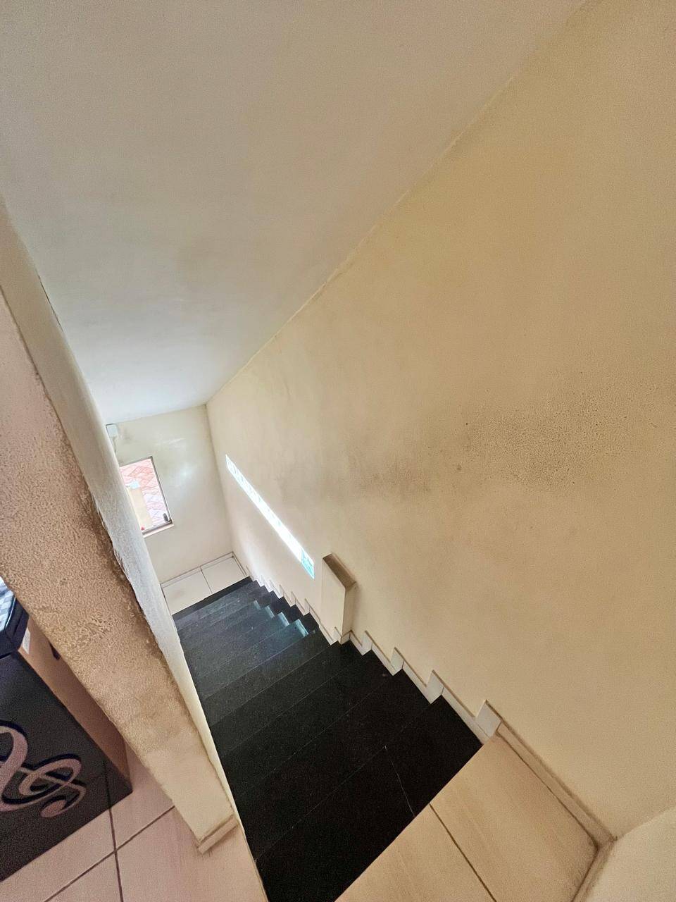 Casa, 5 quartos, 260 m² - Foto 14