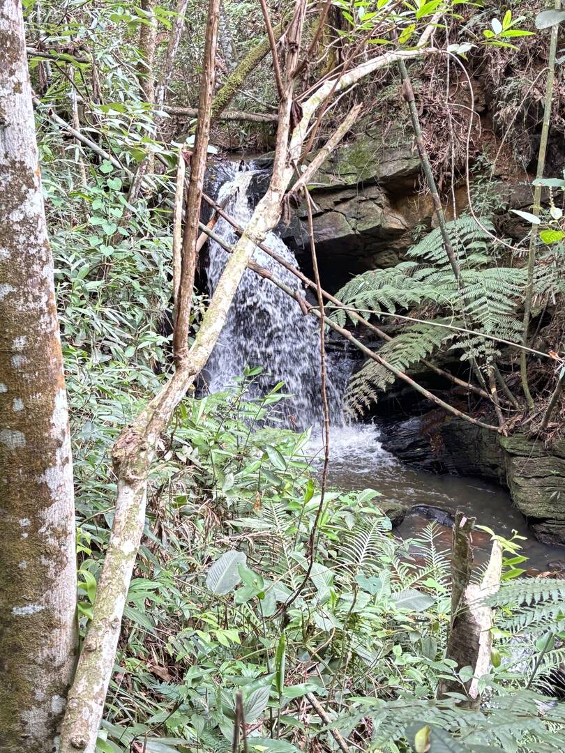 Terreno, 45 m² - Foto 12