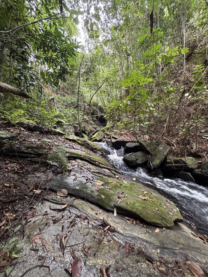 Terreno, 45 m² - Foto 13