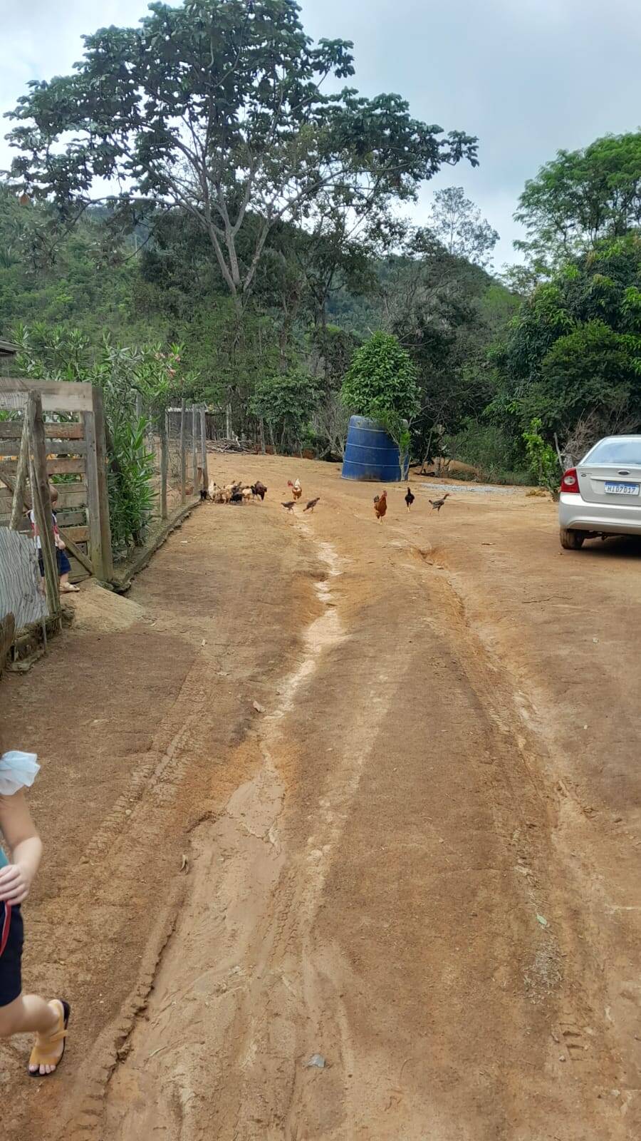 Sítio, 3 quartos, 4 m² - Foto 2