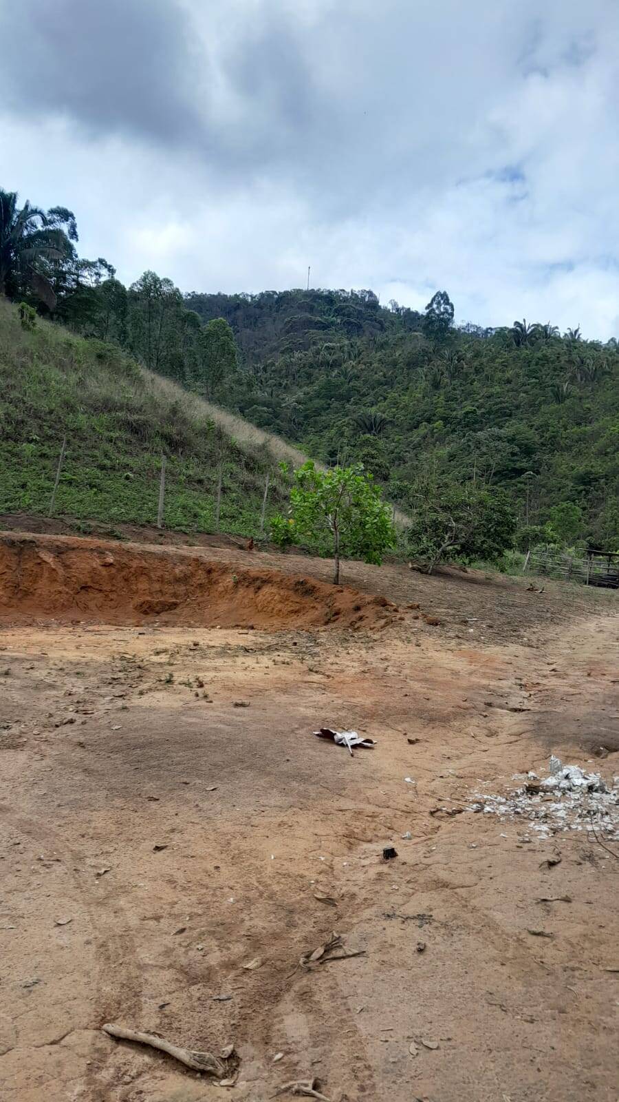 Sítio, 3 quartos, 4 m² - Foto 6