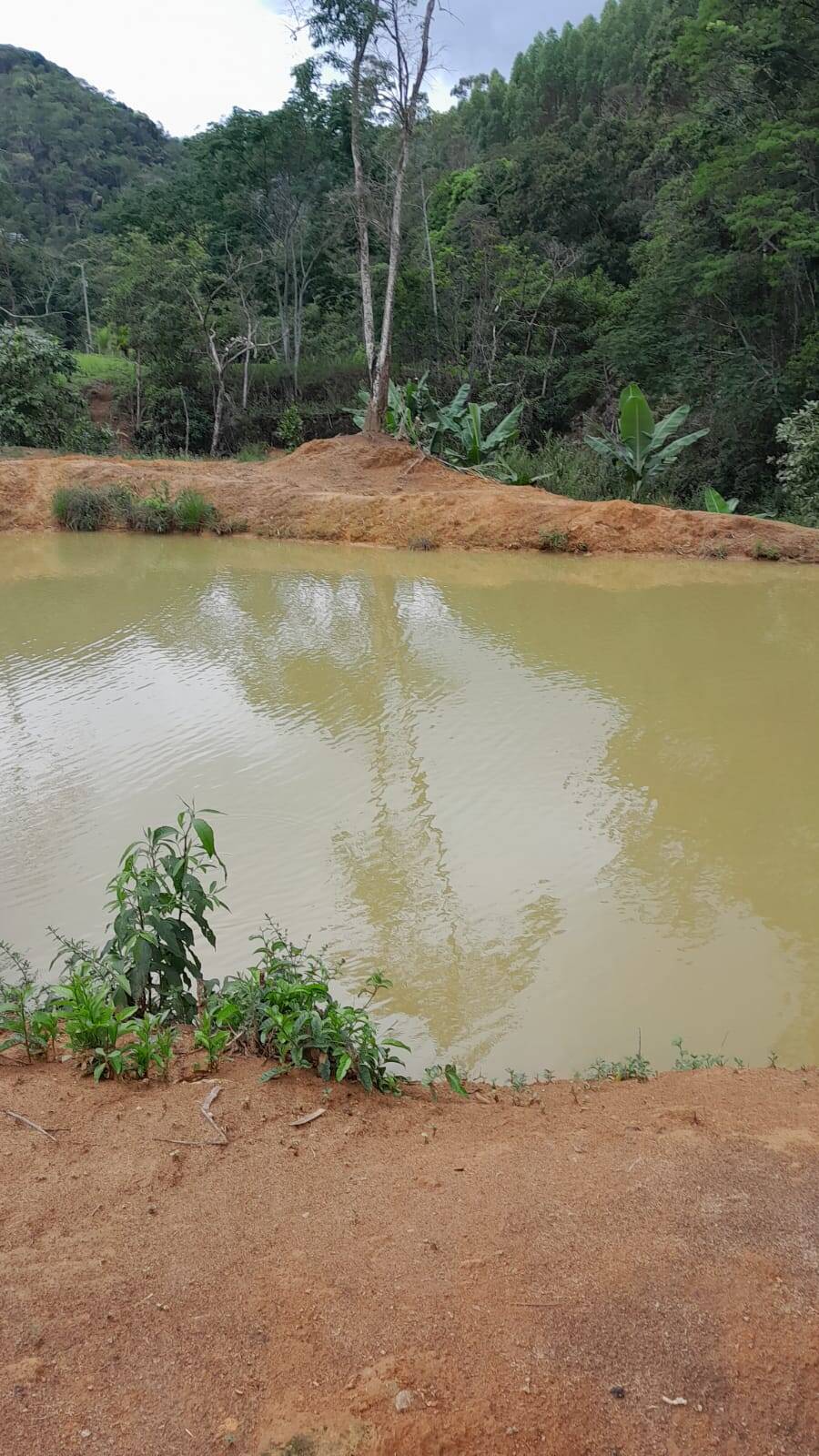 Sítio, 3 quartos, 4 m² - Foto 7