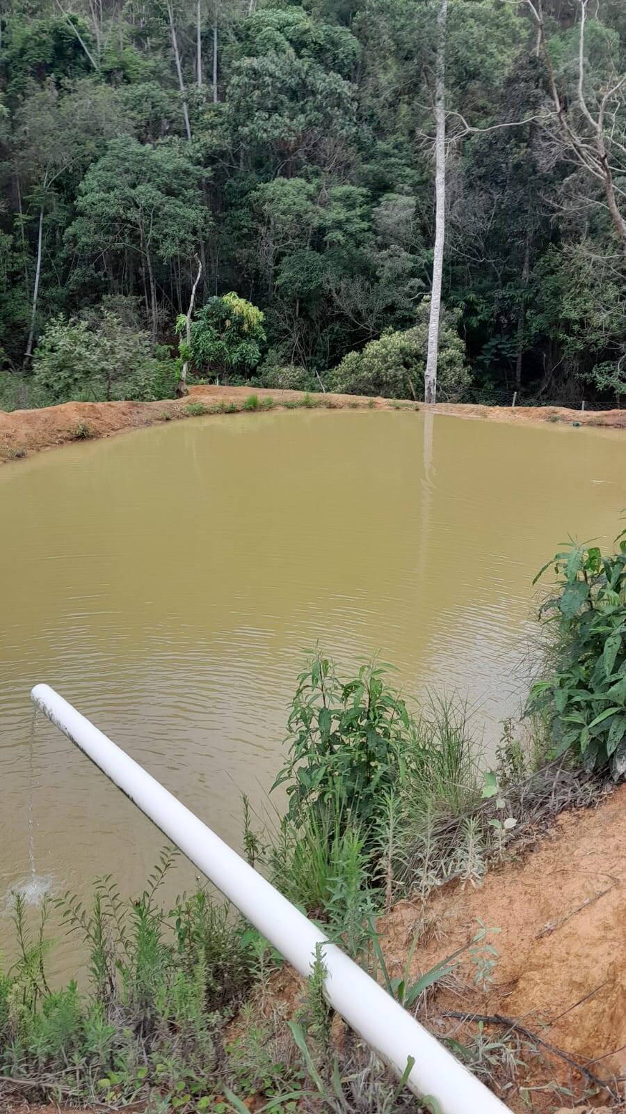 Sítio, 3 quartos, 4 m² - Foto 10