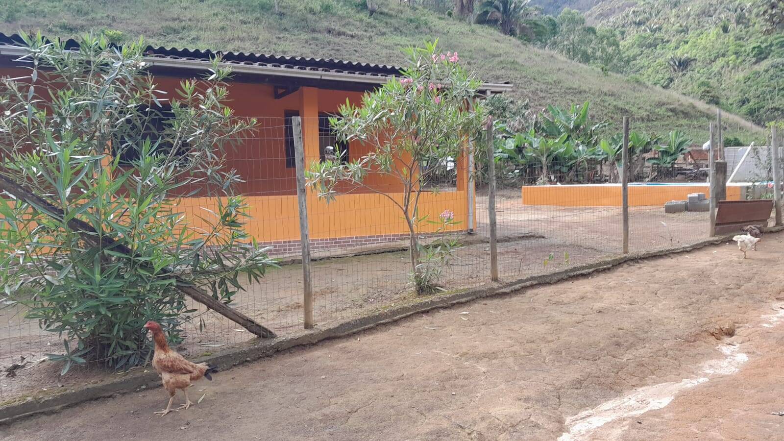 Sítio, 3 quartos, 4 m² - Foto 1