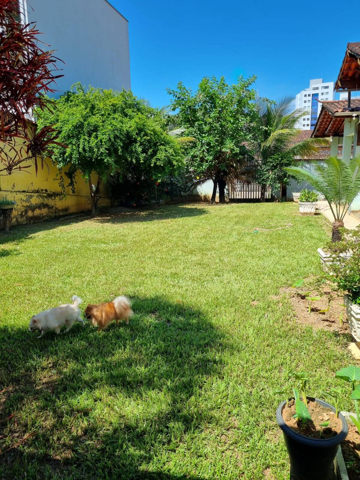 Casa à venda com 4 quartos, 529m² - Foto 23