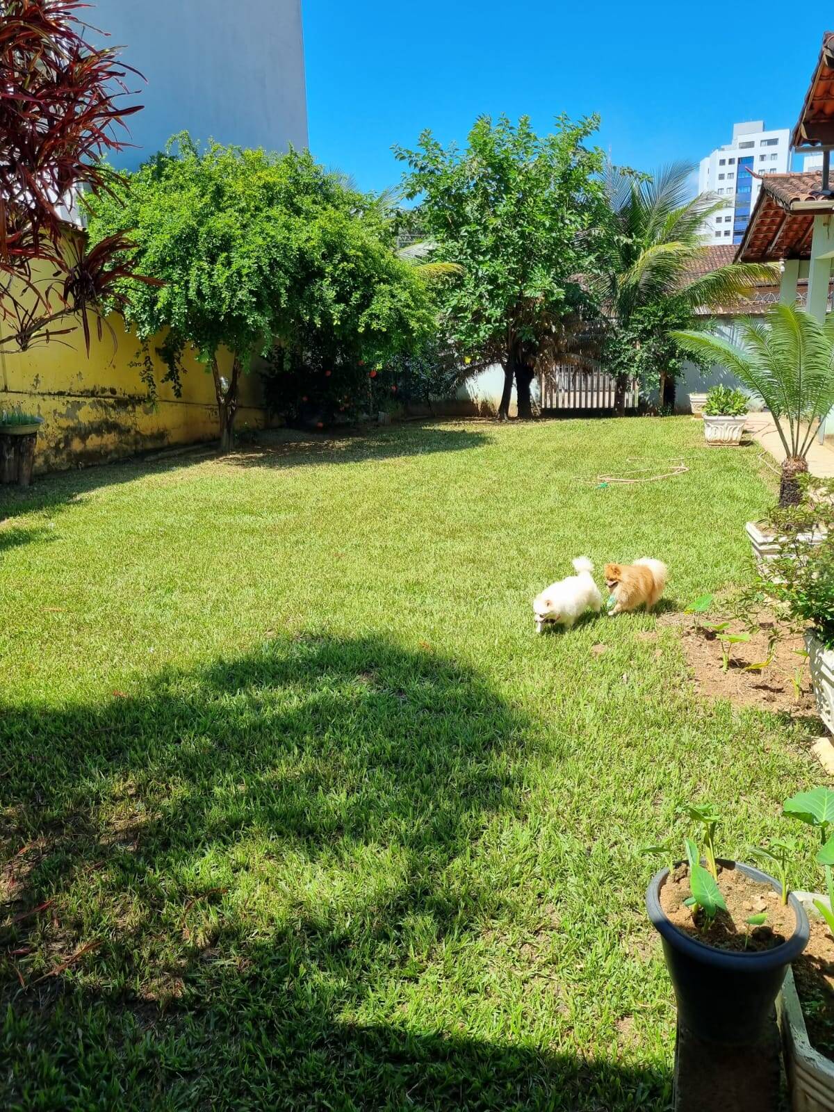 Casa à venda com 4 quartos, 529m² - Foto 22