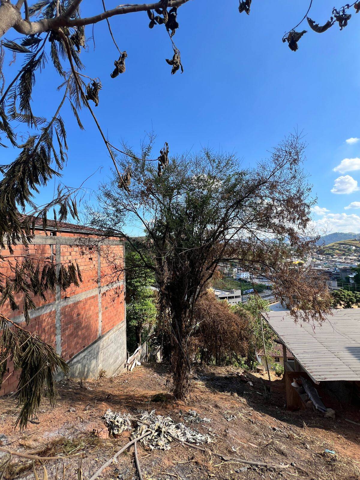 Terreno, 360 m² - Foto 3