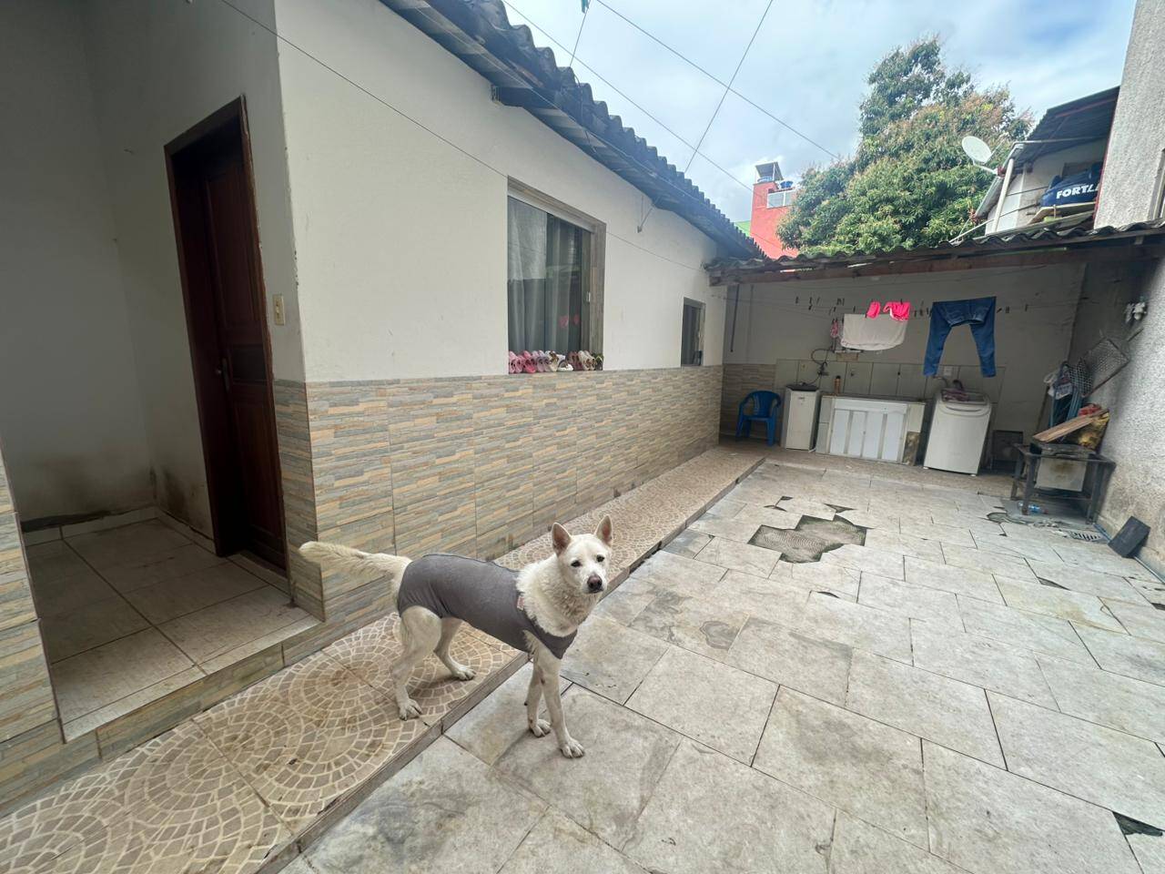 Casa, 3 quartos, 302 m² - Foto 19