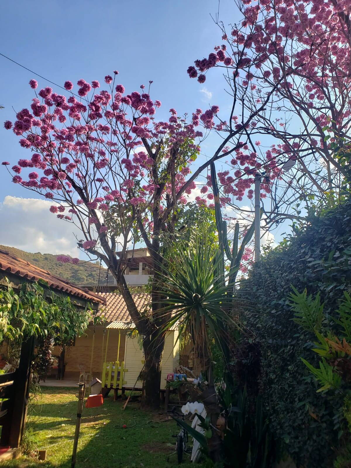 Casa à venda com 4 quartos, 224m² - Foto 19