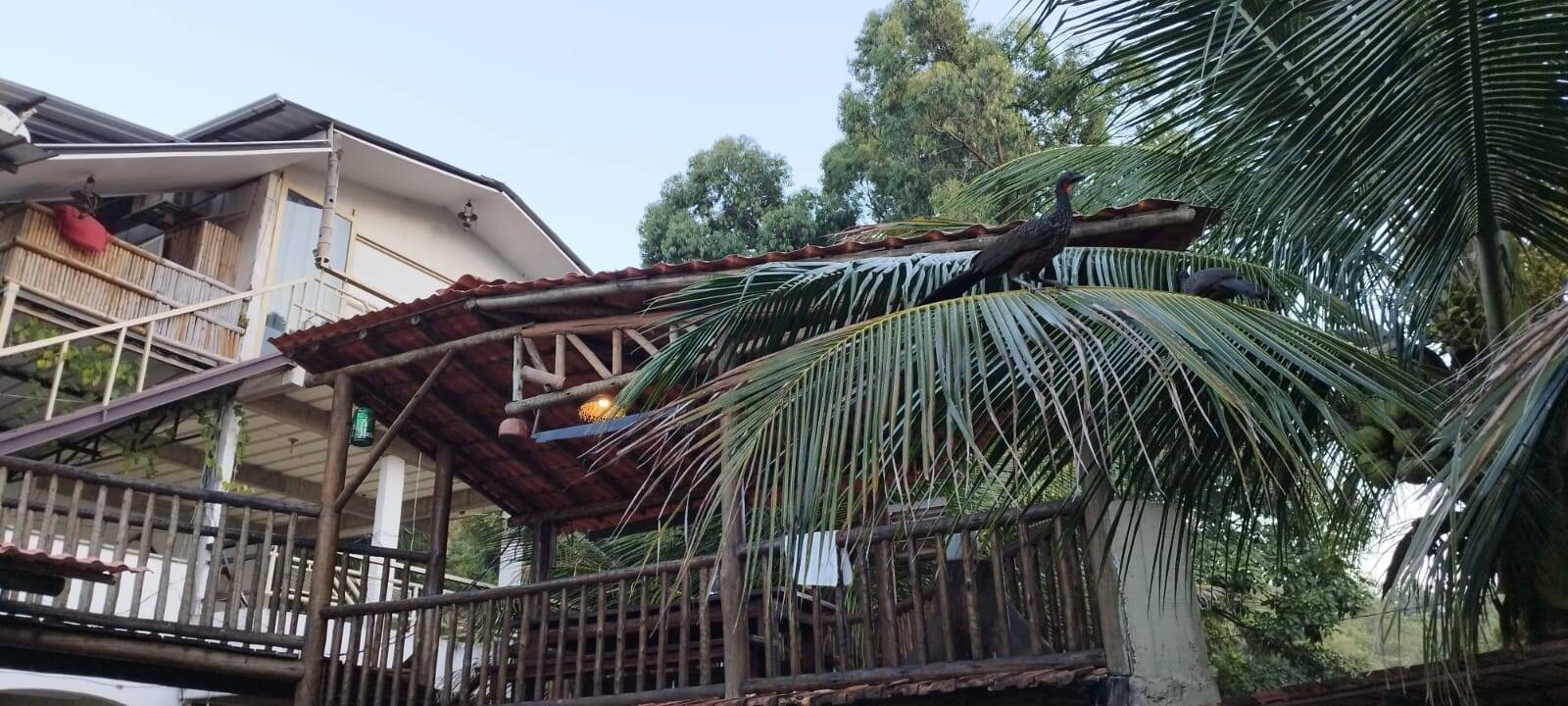 Casa à venda com 3 quartos, 720m² - Foto 7