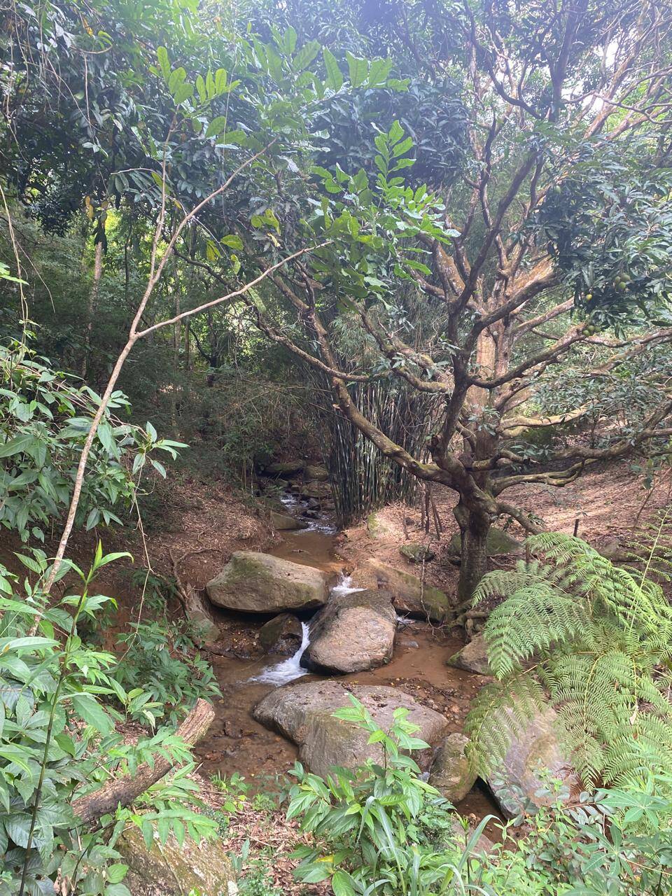 Chácara, 2 quartos - Foto 3