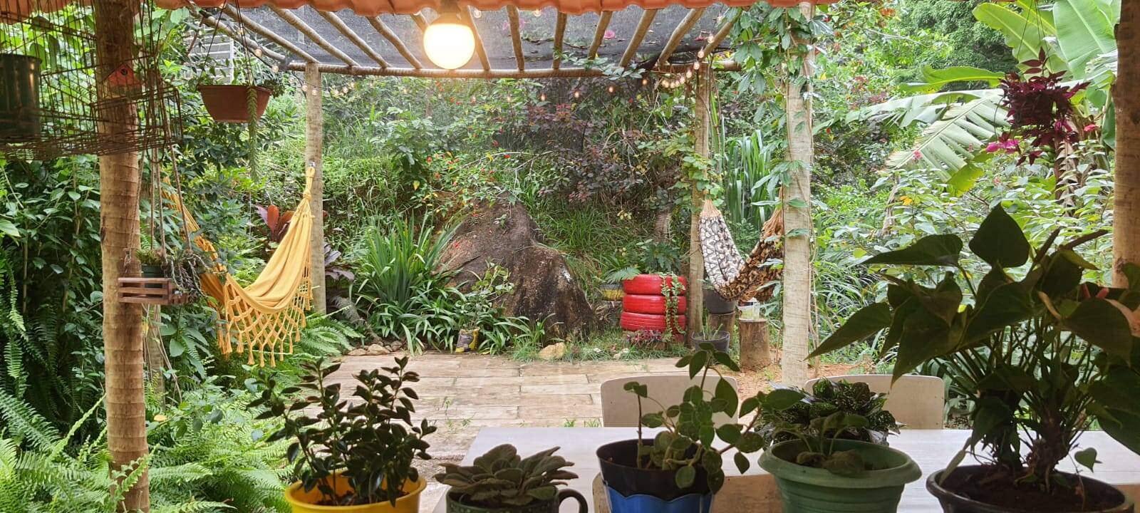 Chácara, 2 quartos, 9000 m² - Foto 8