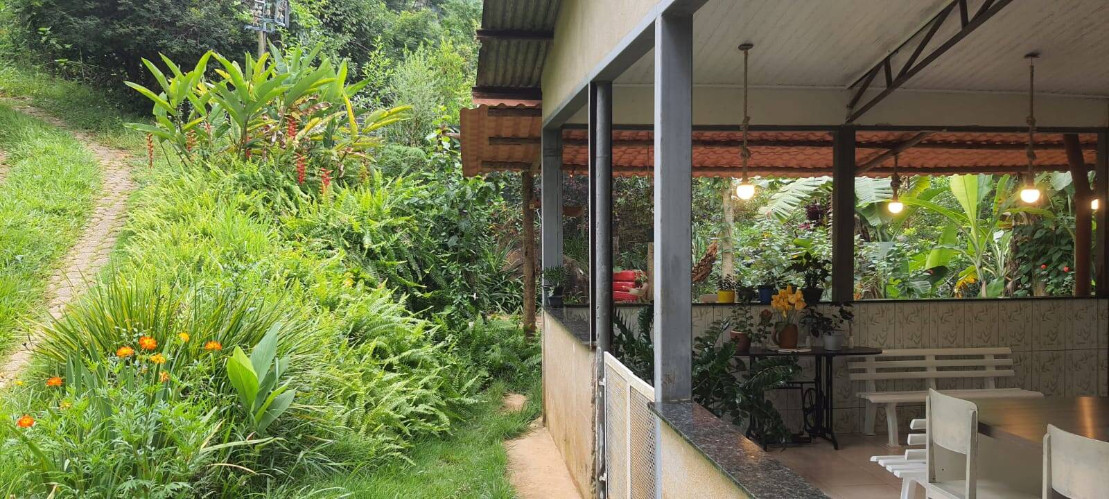 Chácara, 2 quartos, 9000 m² - Foto 6