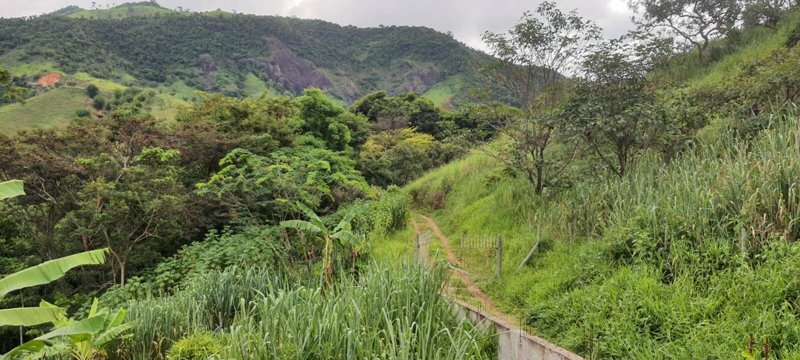 Chácara, 2 quartos, 9000 m² - Foto 13