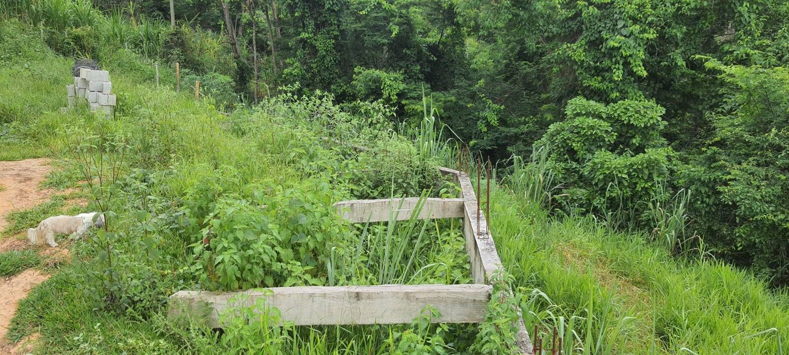 Chácara, 2 quartos, 9000 m² - Foto 15