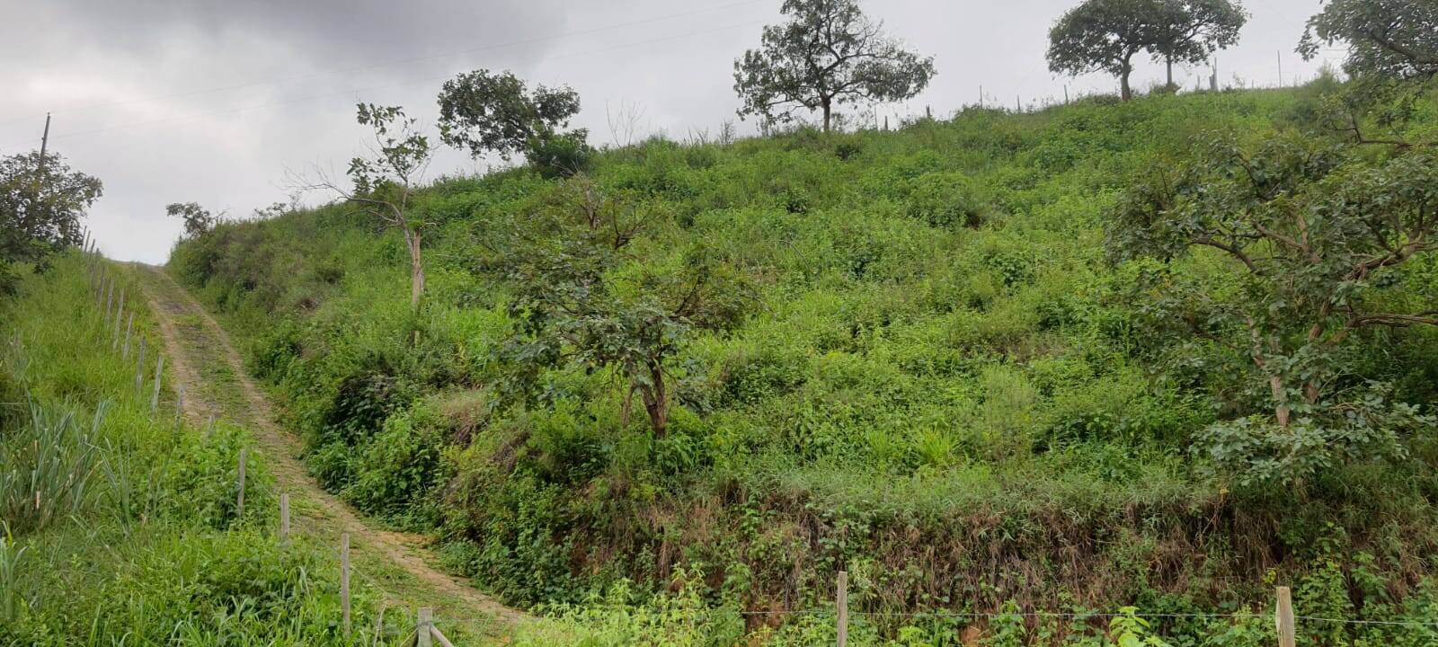 Chácara, 2 quartos, 9000 m² - Foto 18