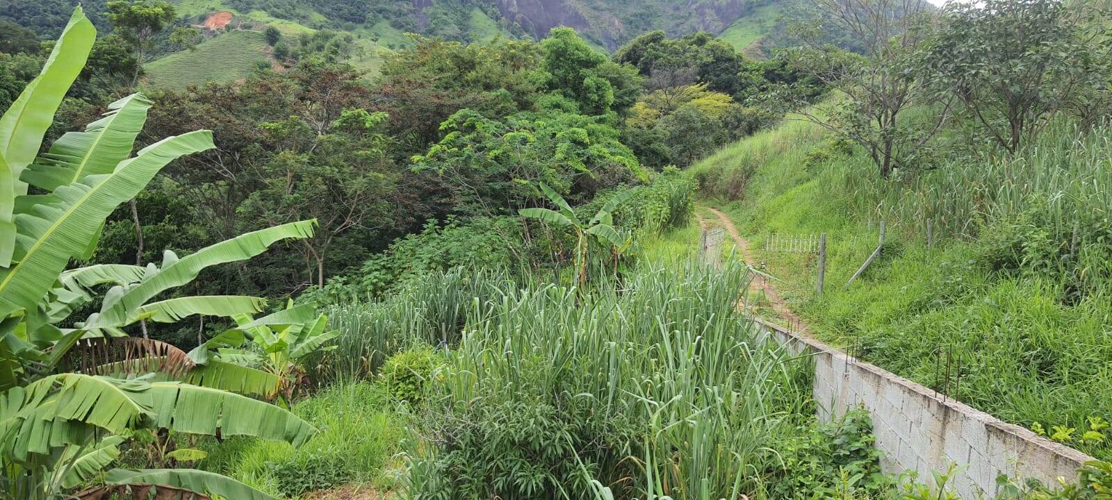 Chácara, 2 quartos, 9000 m² - Foto 20