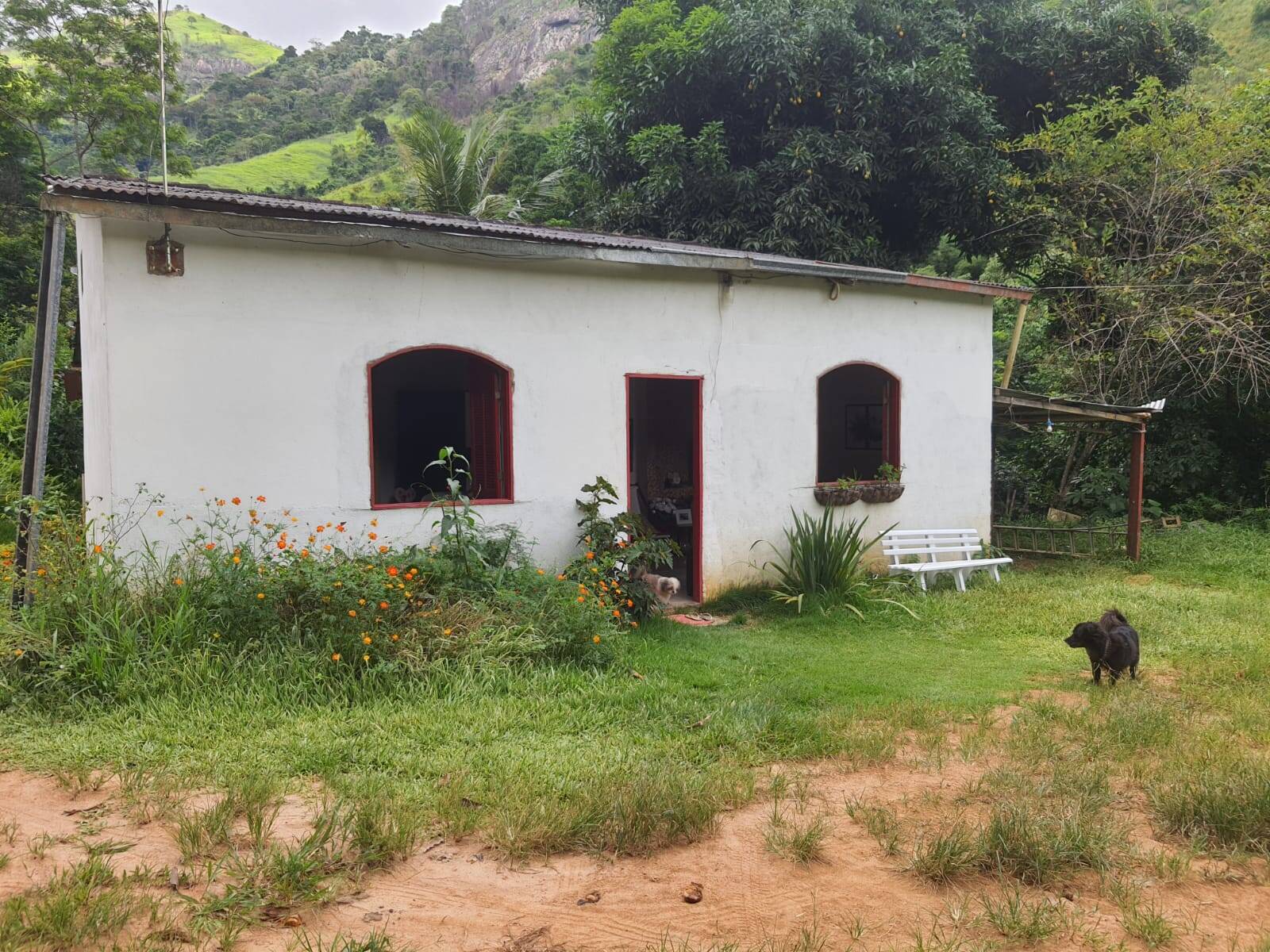 Chácara, 2 quartos, 9000 m² - Foto 25