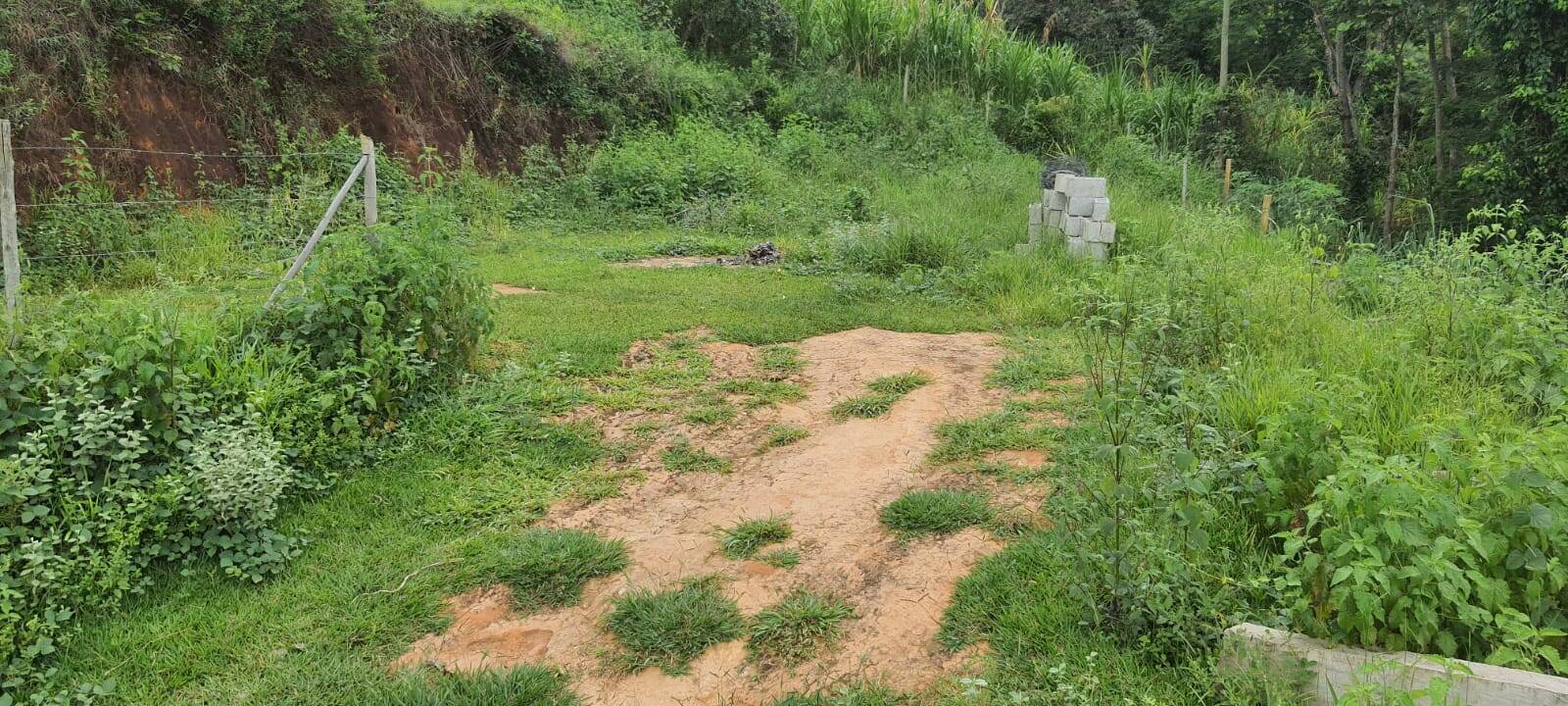 Chácara, 2 quartos, 9000 m² - Foto 28