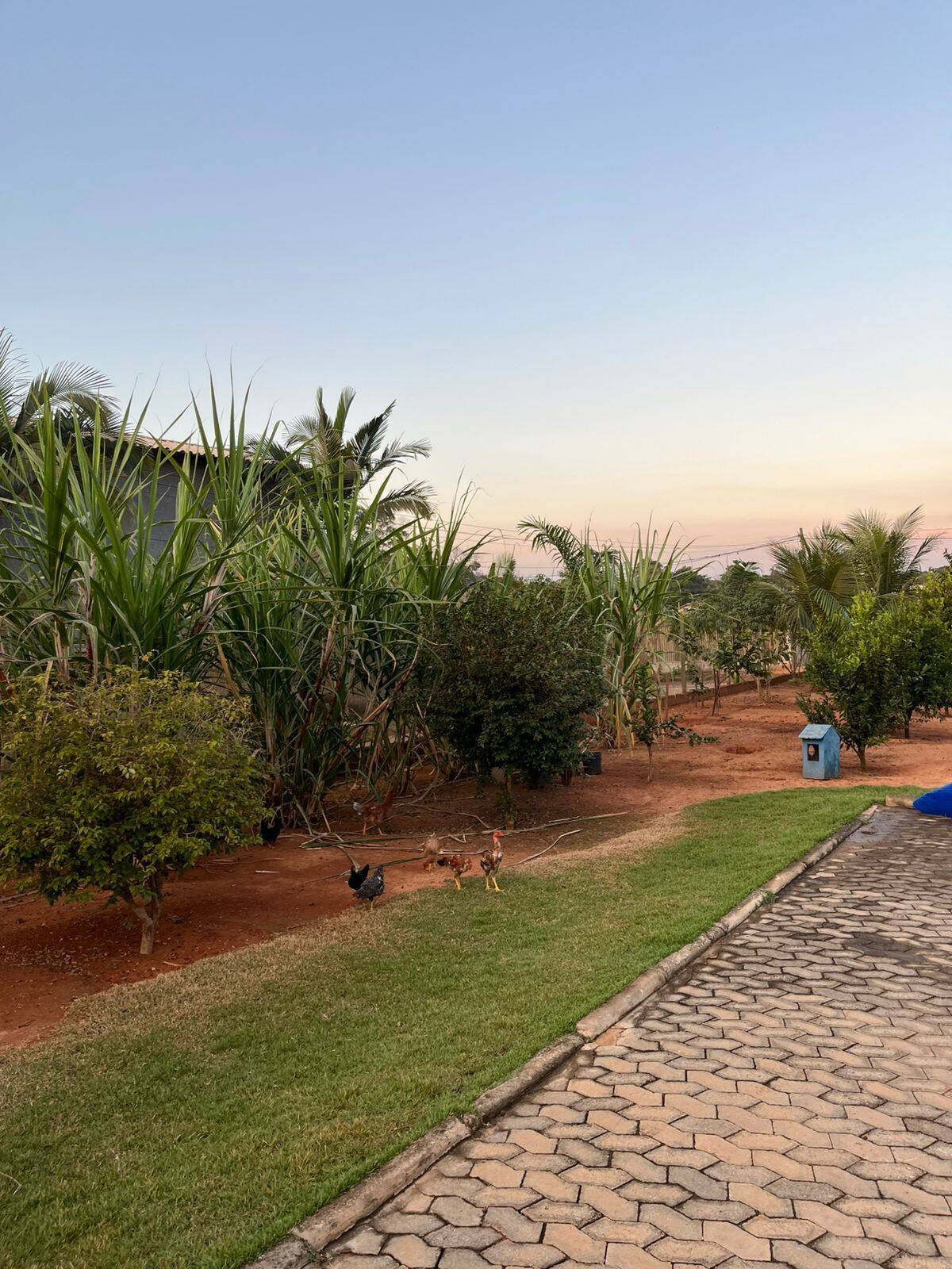 Chácara, 3 quartos - Foto 4