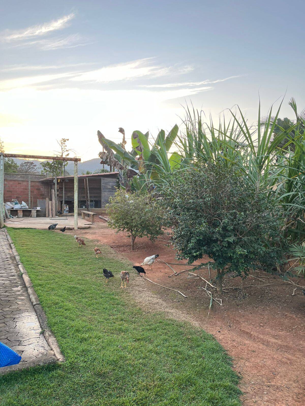 Chácara, 3 quartos - Foto 5