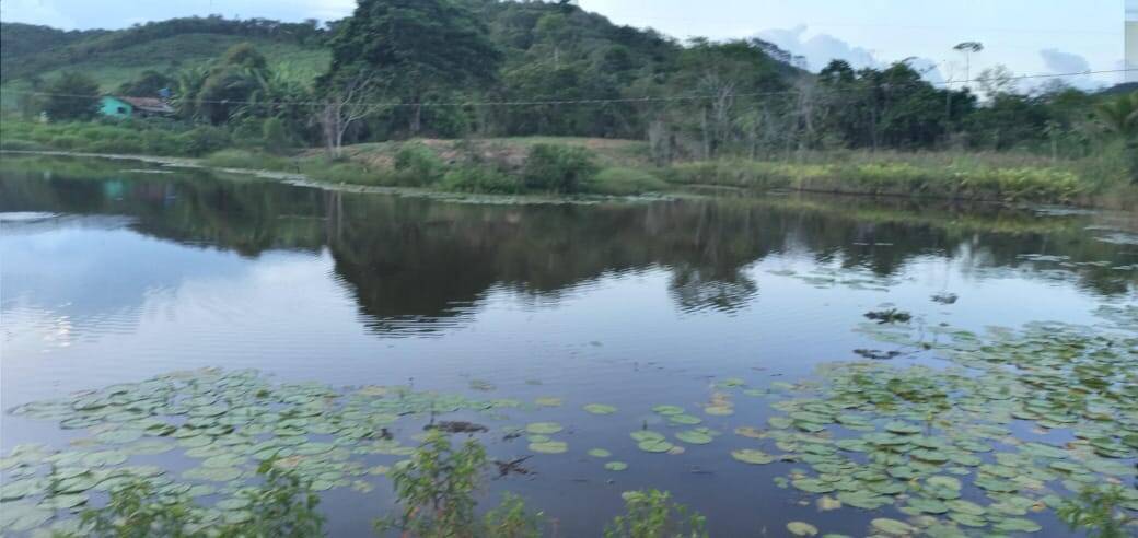 Fazenda, 176 m² - Foto 4