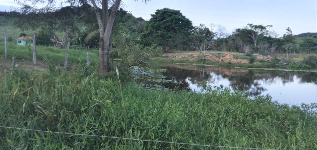 Fazenda, 176 m² - Foto 7