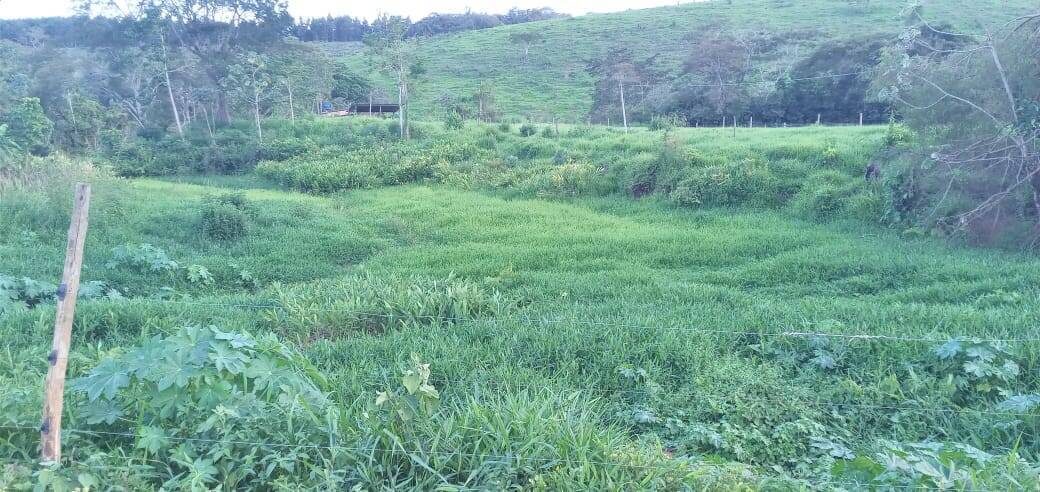 Fazenda, 176 m² - Foto 6