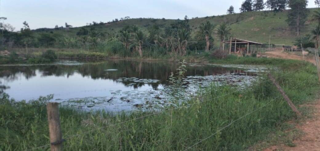 Fazenda, 176 m² - Foto 9