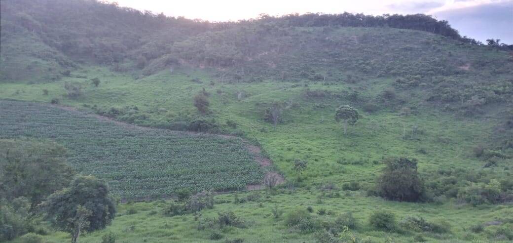 Fazenda, 176 m² - Foto 14