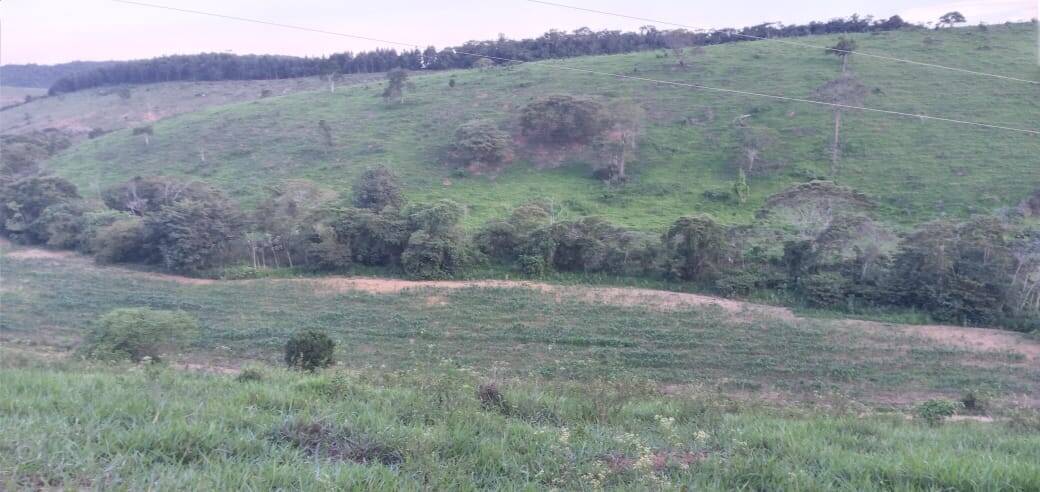 Fazenda, 176 m² - Foto 10