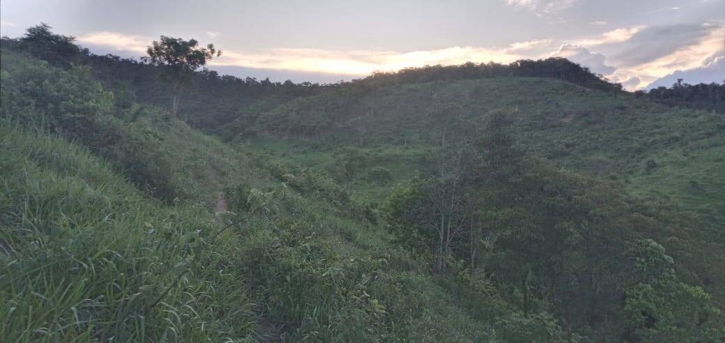 Fazenda, 176 m² - Foto 15