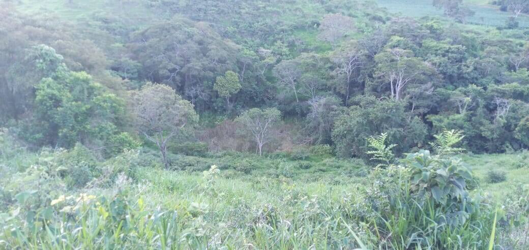 Fazenda, 176 m² - Foto 16