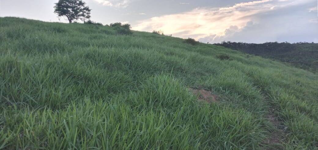 Fazenda, 176 m² - Foto 19