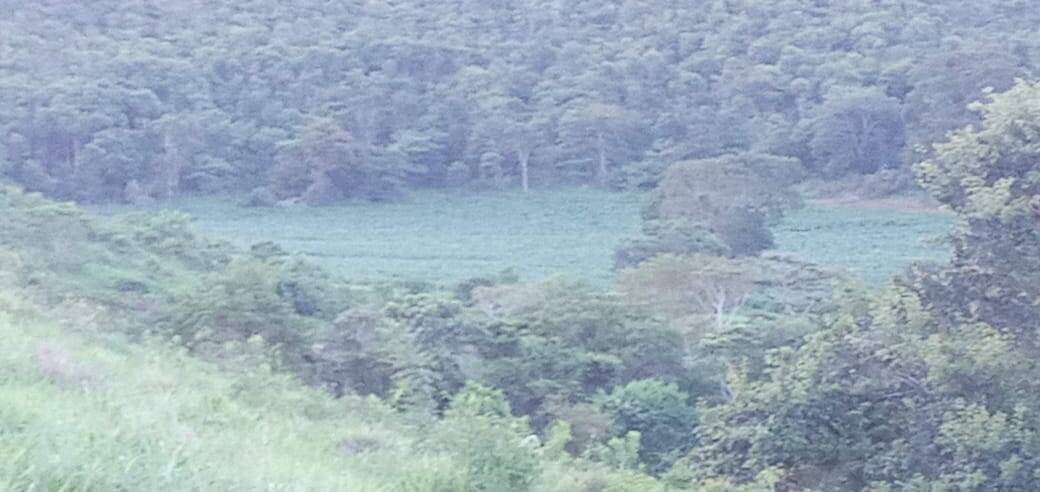 Fazenda, 176 m² - Foto 18