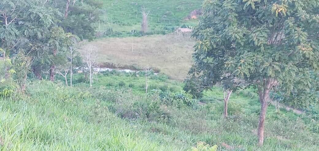 Fazenda, 176 m² - Foto 17