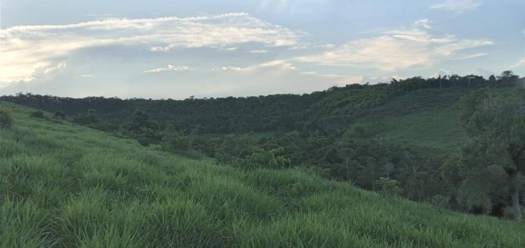 Fazenda, 176 m² - Foto 21