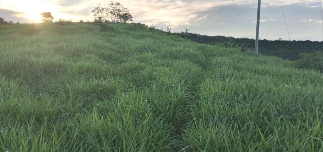 Fazenda, 176 m² - Foto 23