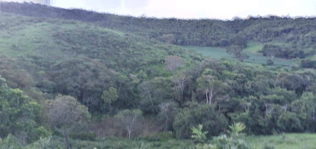 Fazenda, 176 m² - Foto 22