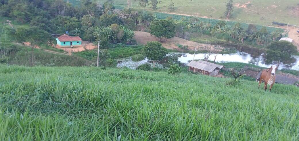 Fazenda, 176 m² - Foto 25