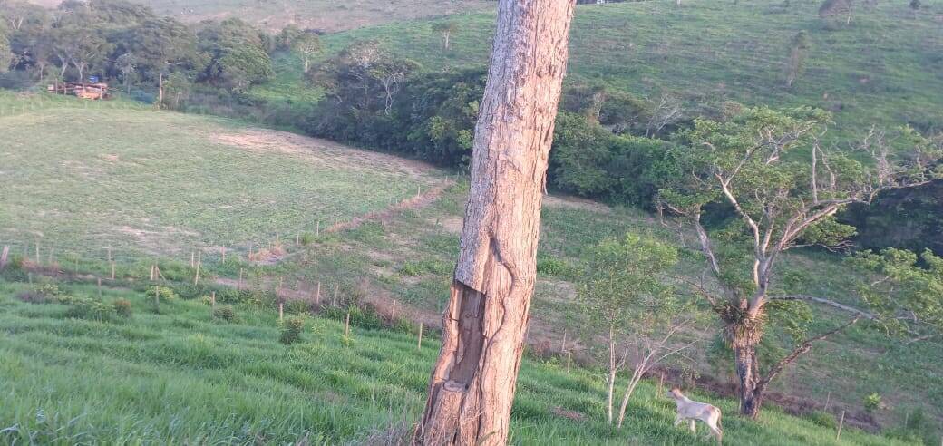 Fazenda, 176 m² - Foto 30