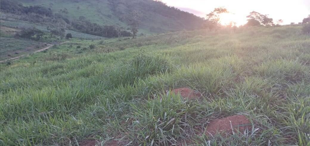 Fazenda, 176 m² - Foto 28