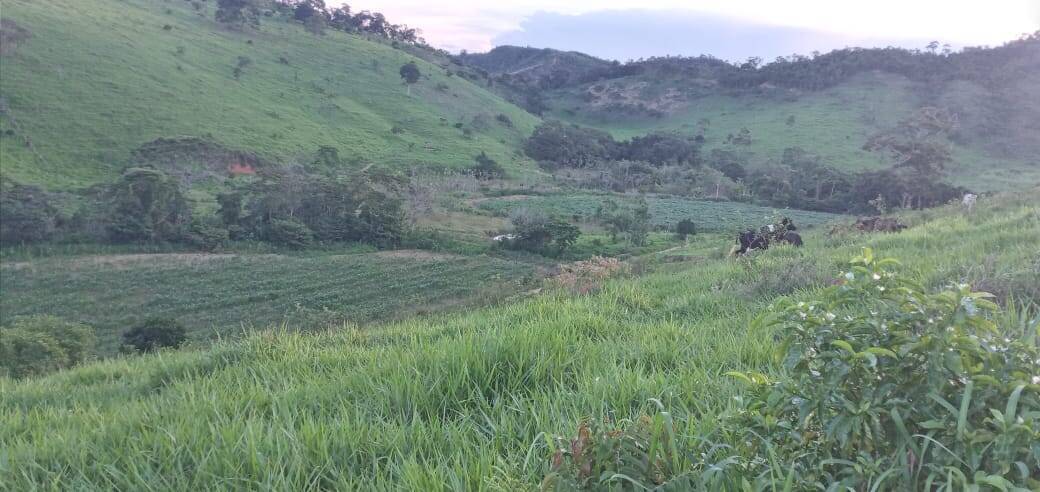 Fazenda, 176 m² - Foto 31