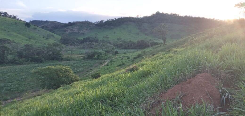 Fazenda, 176 m² - Foto 32