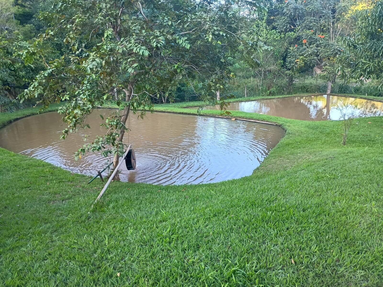 Sítio, 4 quartos, 67 m² - Foto 9