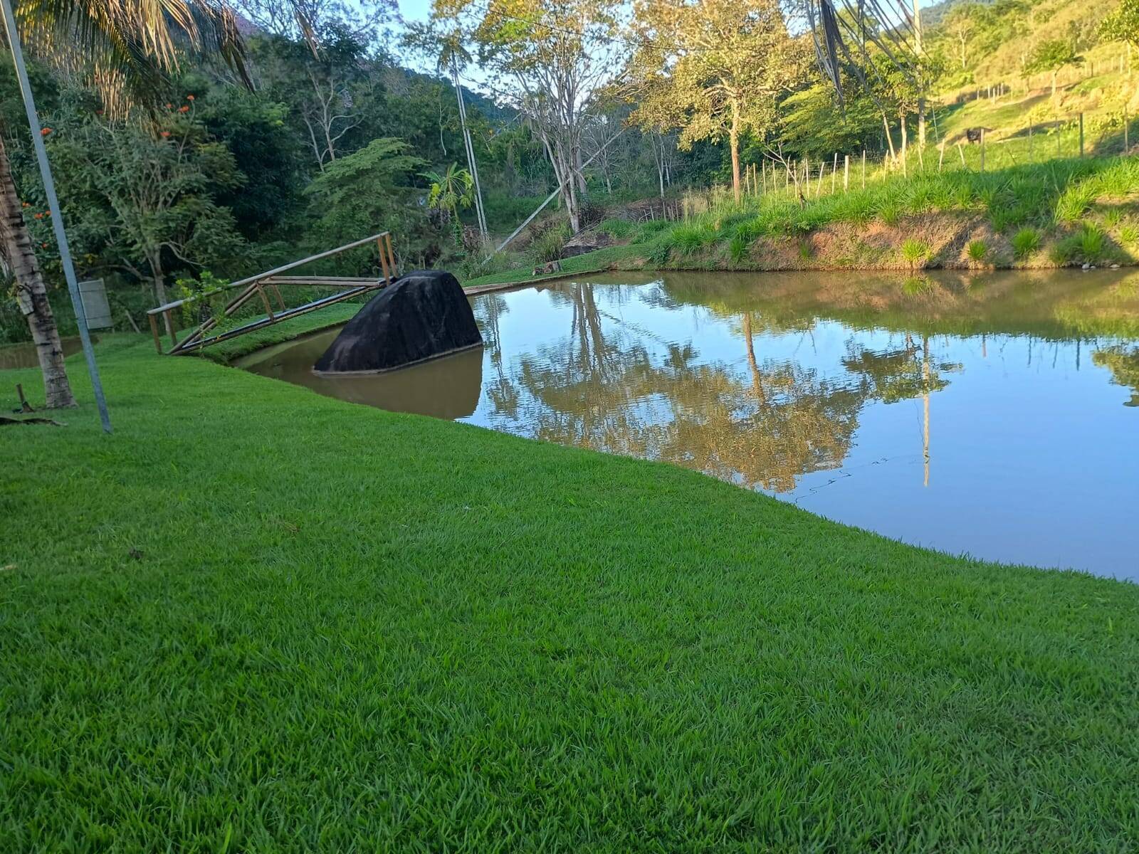 Sítio, 4 quartos, 67 m² - Foto 6