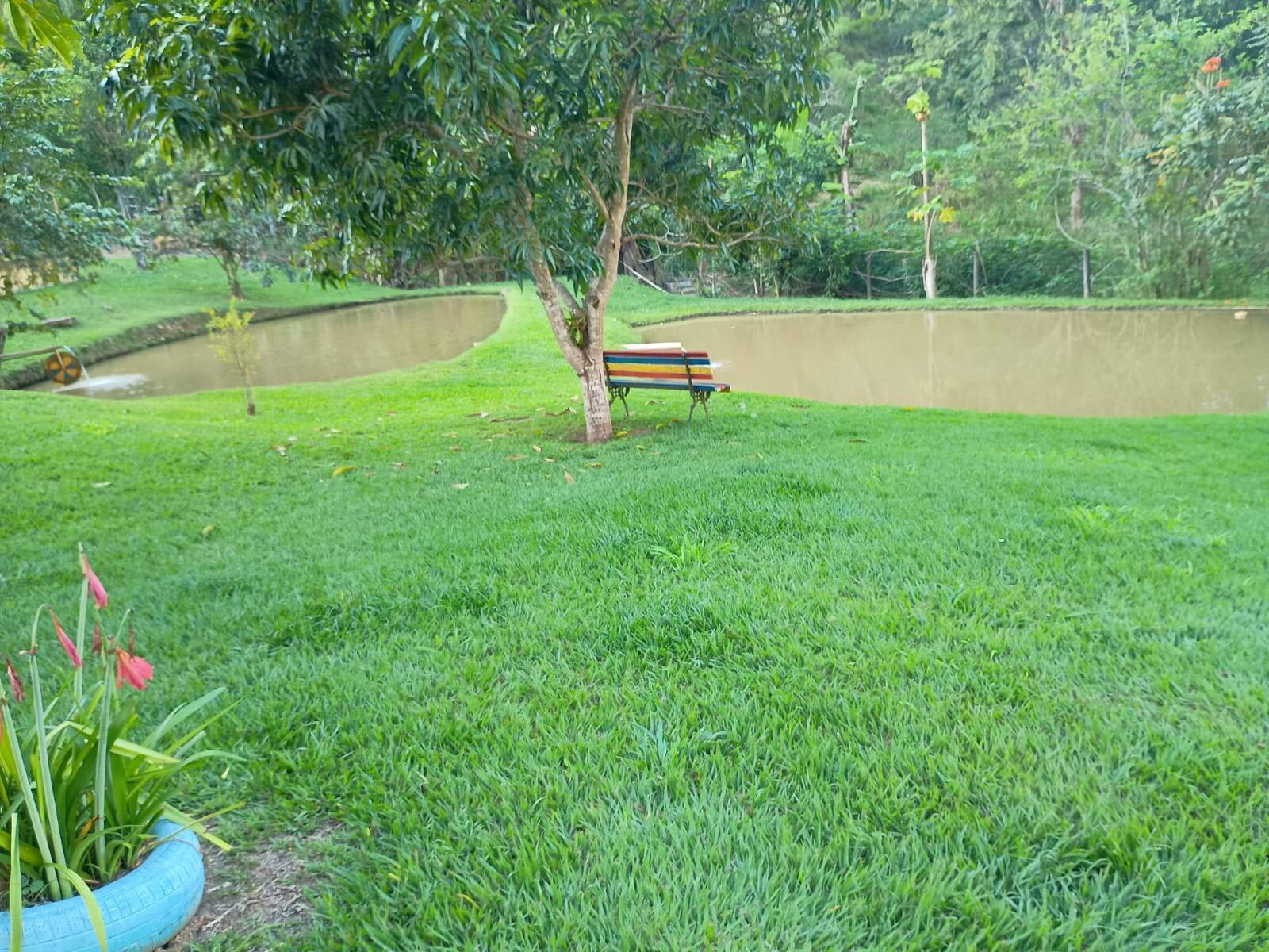 Sítio, 4 quartos, 67 m² - Foto 8